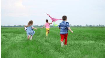 השכרת רכב באשקלון
