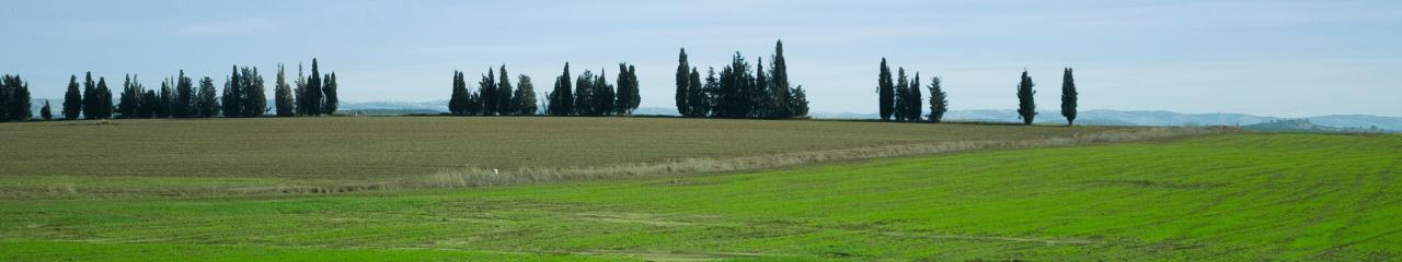 קאבר דסקטופ