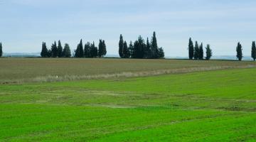 קאבר דסקטופ